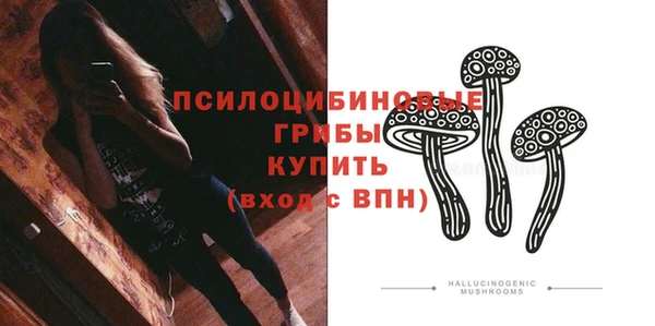 ГАЛЛЮЦИНОГЕННЫЕ ГРИБЫ Тольятти