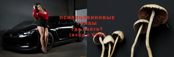 первитин Медвежьегорск