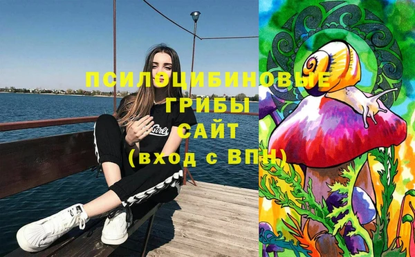 мет Богородицк
