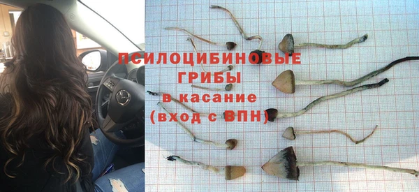 шишки Богородск