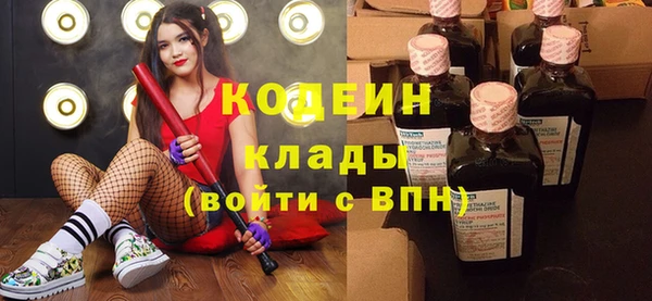 прущие грибы Алапаевск
