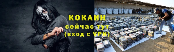 дмт Медногорск
