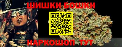 стафф Гай